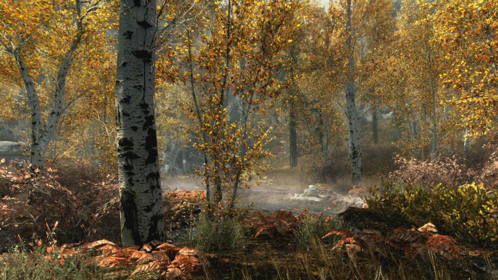 SkyrimSpecialEditionFallForest_1465779409_bmp_jpgcopy